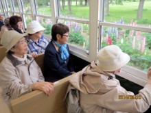 札幌市白石区菊水の通所介護「デイサービス すこやか東橋」デイサービス年間行事