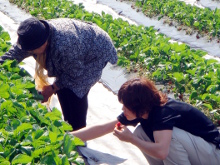 札幌市白石区菊水の通所介護「デイサービス すこやか東橋」デイサービス年間行事