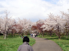 札幌市白石区菊水の通所介護「デイサービス すこやか東橋」デイサービス年間行事